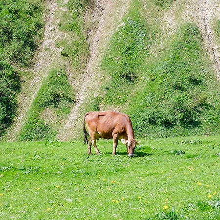 Bioalphuette Alpe Fatnella * פונטנלה